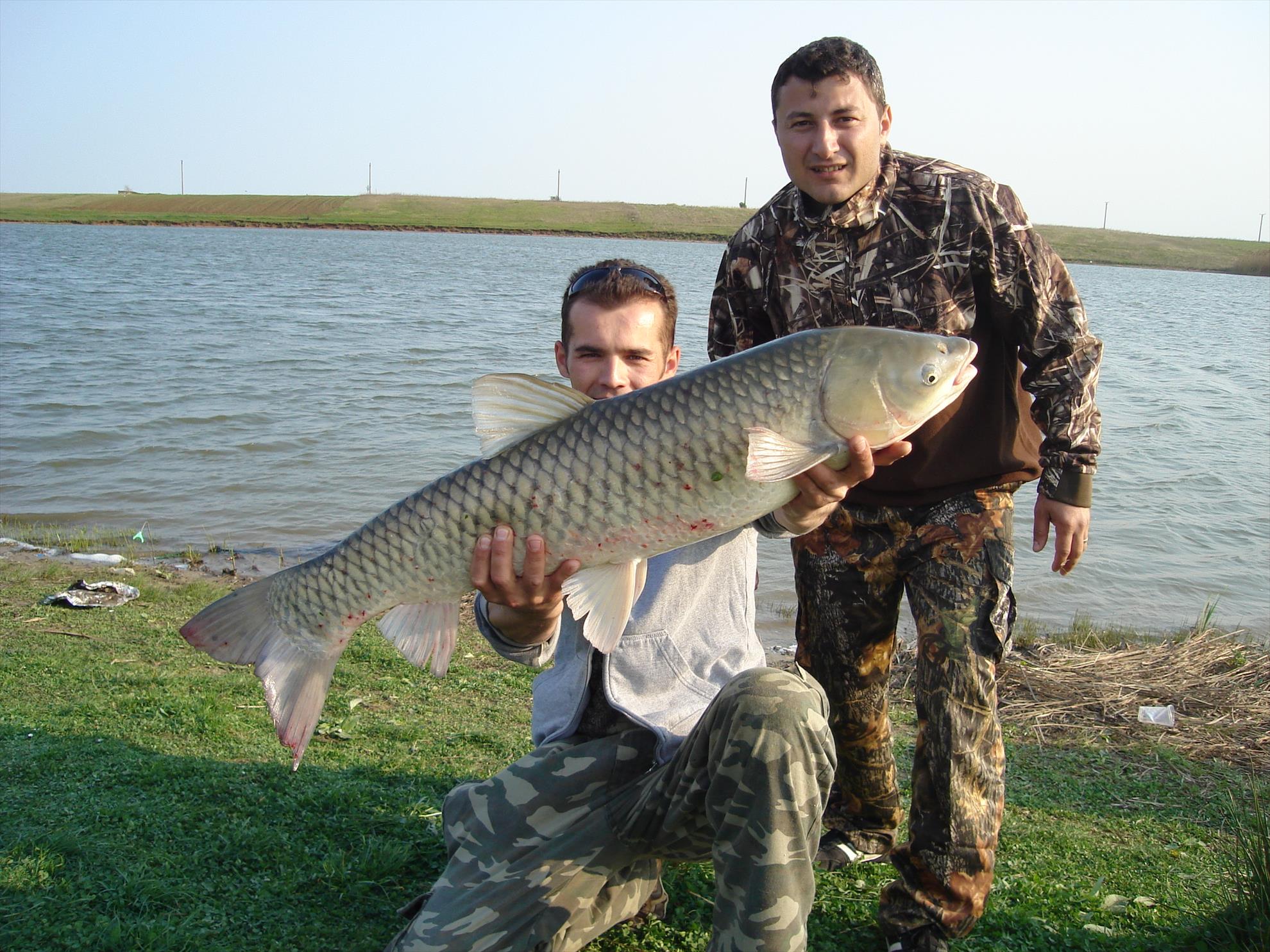 hobaia 2009 - dsc01722.JPG